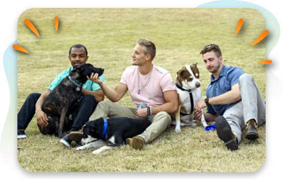 three men sitting down together with their dogs
