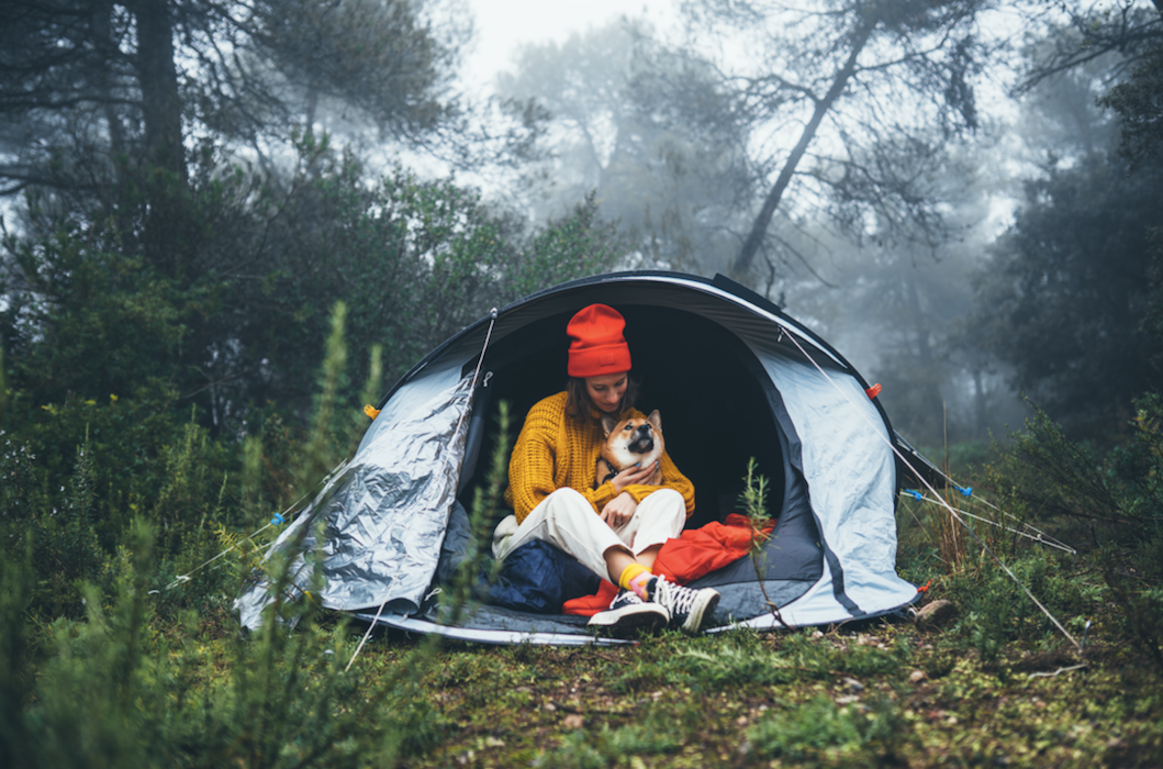 Considerations for Camping with Canines