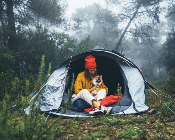 Considerations for Camping with Canines