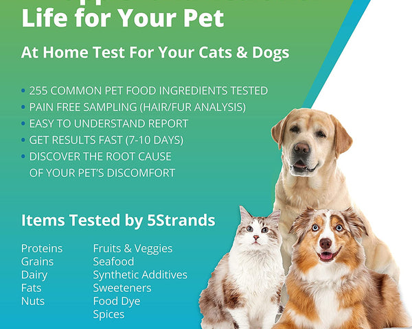 Pet Food Intolerance Test (Previous Hair Sample Required)