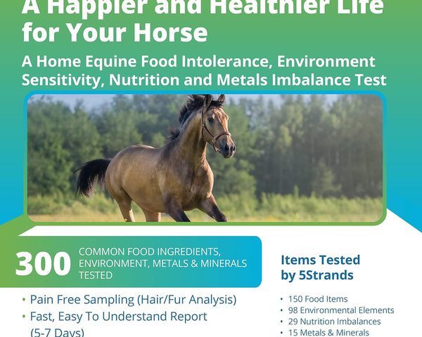 Equine Health Test Wholesale