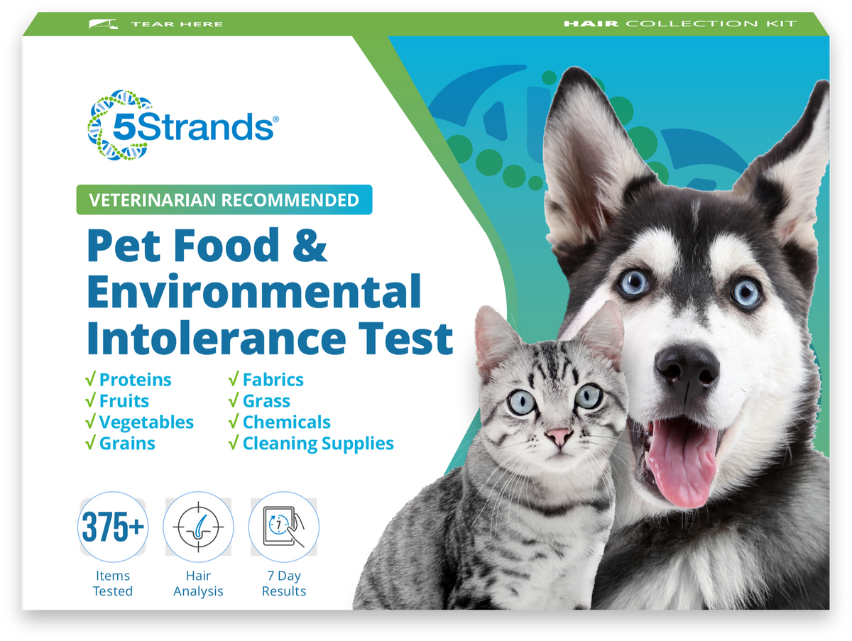 Pet Food & Environmental Intolerance Test