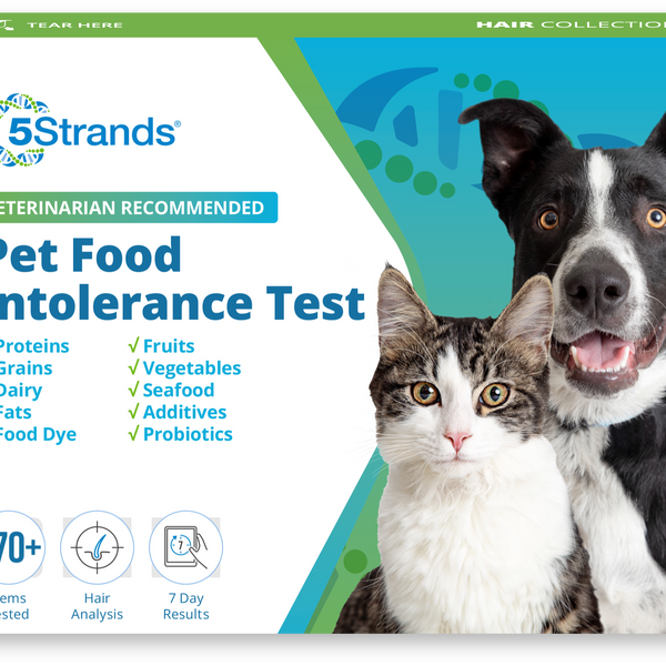 Pet Food Intolerance Test