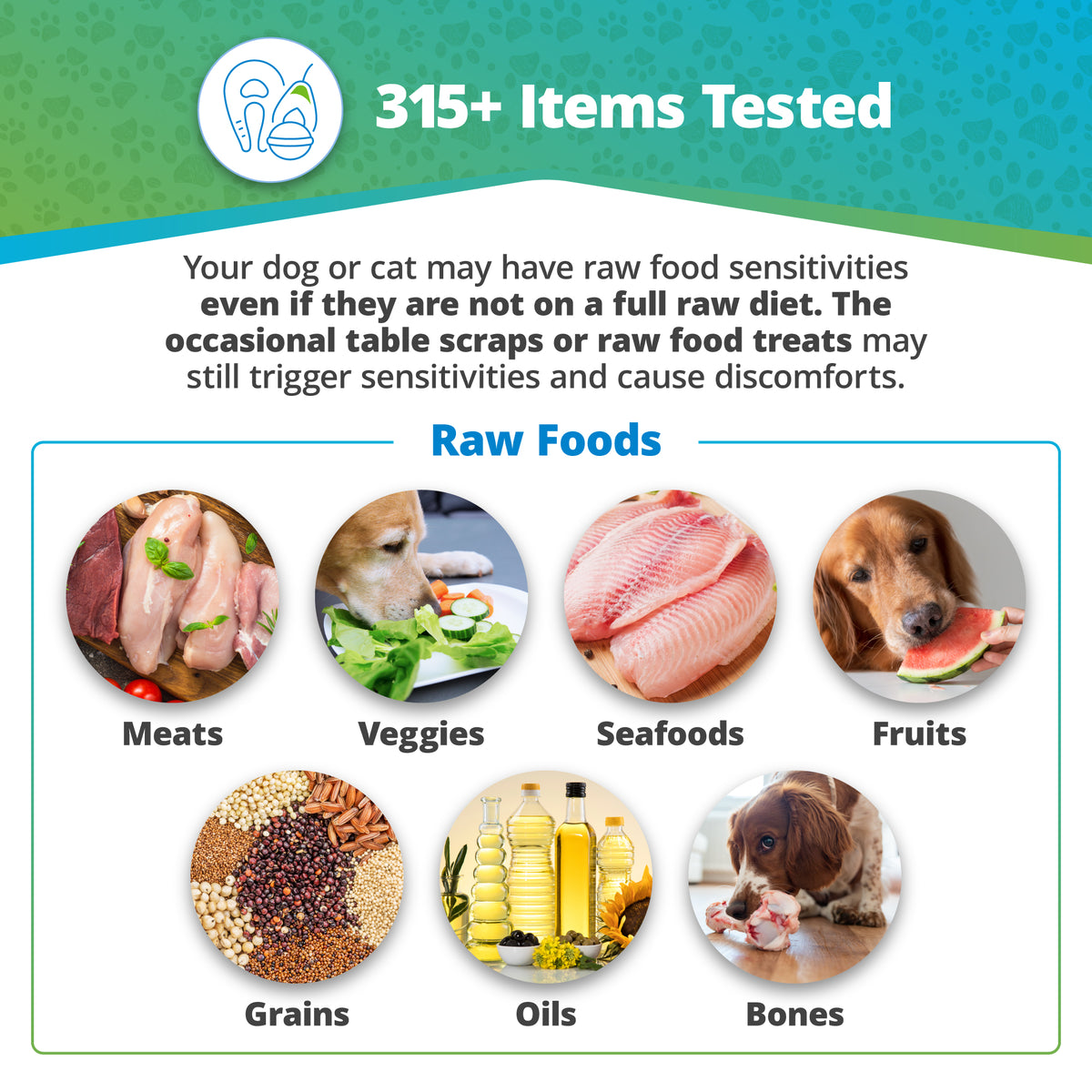 Pet Raw Food Intolerance Test Dogs Cats 5Strands