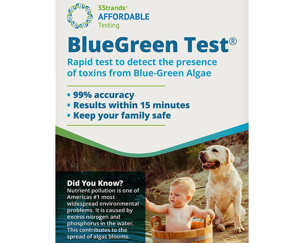 BlueGreen Algae Water Test Wholesale