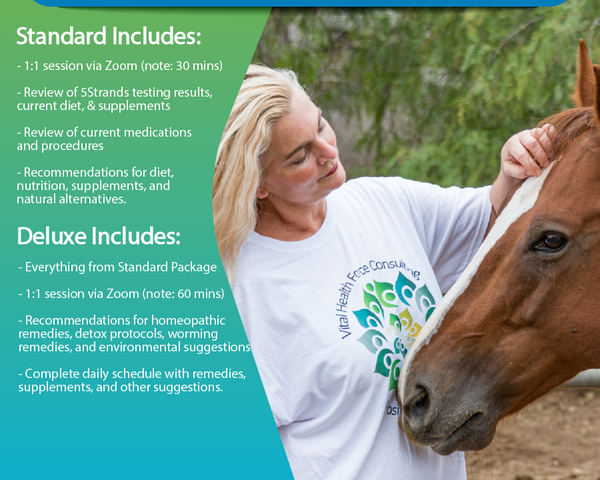 Kristina Star equine consultation packages