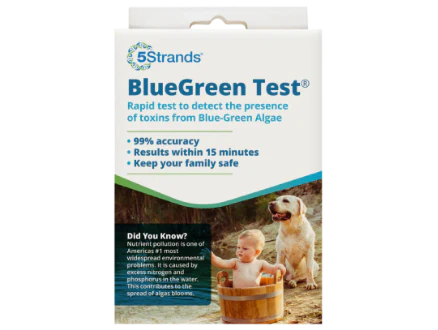 BlueGreen Algae