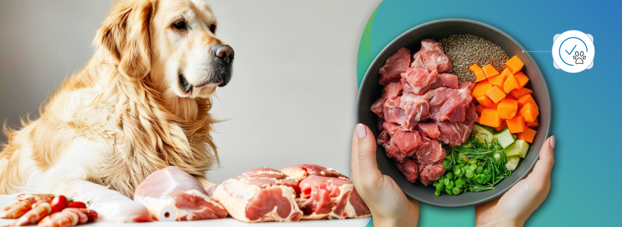 Benefits of Feeding Your Pet A Raw Diet