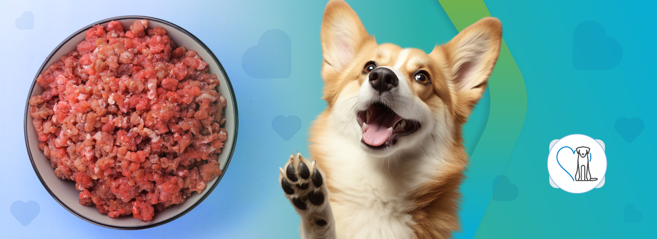 10 Raw Dog Foods Your Dog Will Love