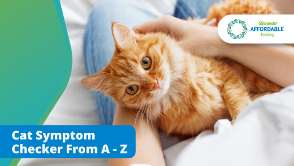 5Strands Cat Symptom Checker from A - Z