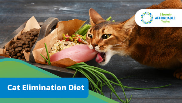 5Strands Cat Elimination Diet