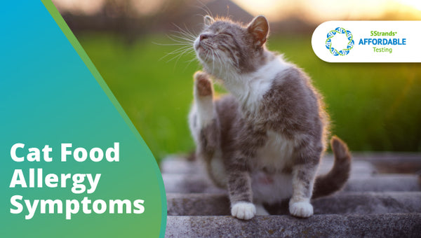 Cat Food Allergy Symptoms 5Strands At Home Test Kit Hair Fur Analysis