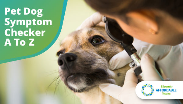 dog symptom checker a to z