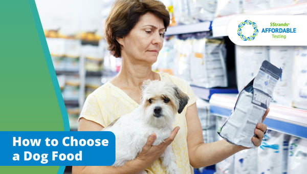 5Strands How to Choose a Dog Food in a Pet Store