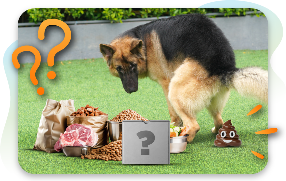 This At-Home Test Reveals Which Foods In Your Dog’s Diet Are Causing Their Diarrhea