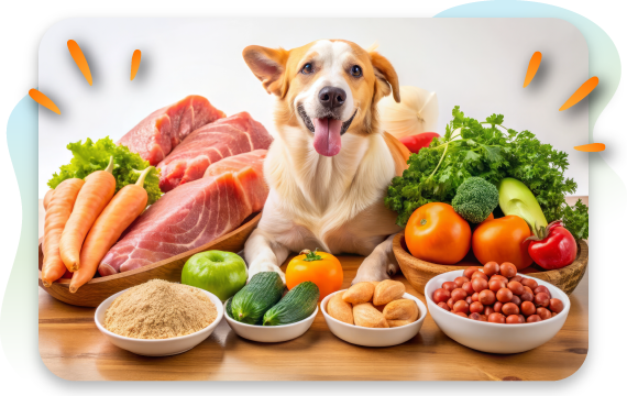 Dog surrounded by healthy gut-supporting foods including meat, vegetables, and grains.