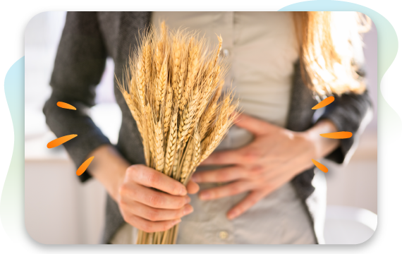 Person holding wheat stalks while touching their stomach, representing gluten intolerance discomfort.
