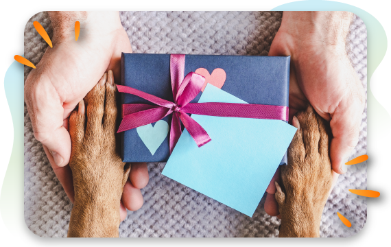 7 Best Gifts for Dog Owners in 2026 (That They’ll Actually Use)