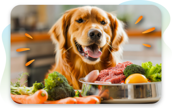 What Are Dog Food Allergies or Intolerances?