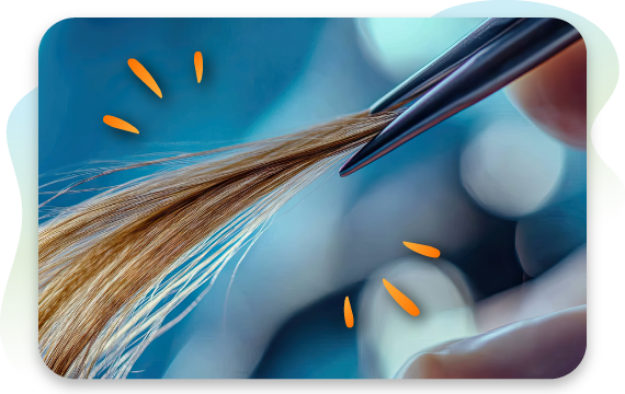Close-up of hair strands being held with tweezers, representing hair sample testing or analysis.