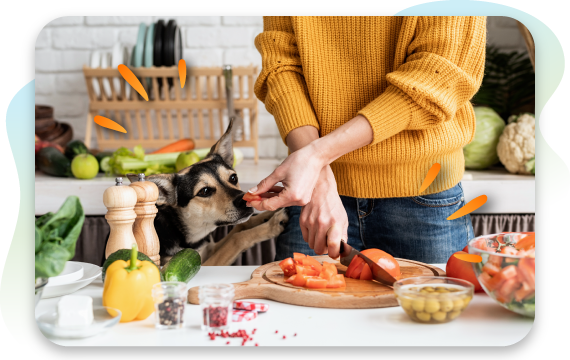 Person preparing fresh food in a kitchen while a dog reaches up to take a piece of tomato.