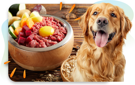 A smiling golden retriever sits next to a large bowl of fresh, raw pet food containing ground meat, chopped vegetables, and a raw egg yolk. This image represents a healthy, natural diet for a dog.