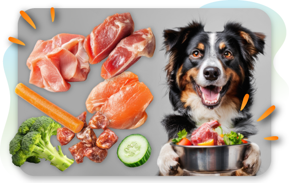 A dog holding a bowl of fresh food looks at the camera. Next to the dog is a selection of ingredients including raw meat, a carrot, broccoli, and a cucumber slice, illustrating the components of a healthy and natural pet diet.