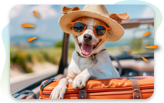 A small dog wearing orange sunglasses and a straw hat smiles and pants happily, resting its paws on an orange suitcase while sitting in a car.