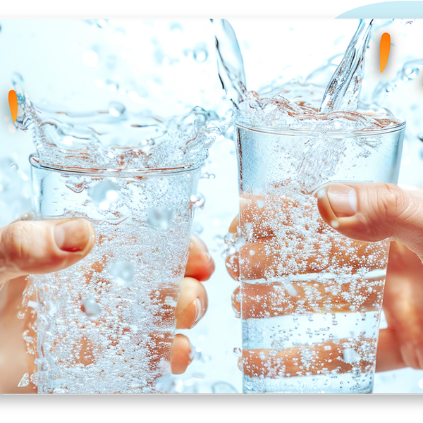 Do You Know The Importance of Water?