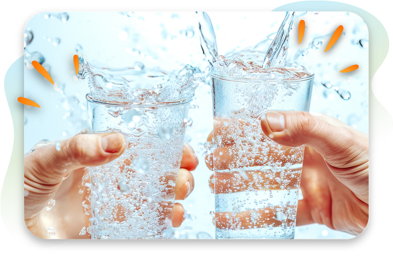 Do You Know The Importance of Water?
