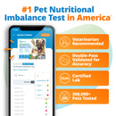 Smartphone displaying a pet nutrition test app with key features listed
