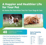 Pet Nutrition (Vitamins & Minerals) Imbalance Test (Previous Hair Sample Required)