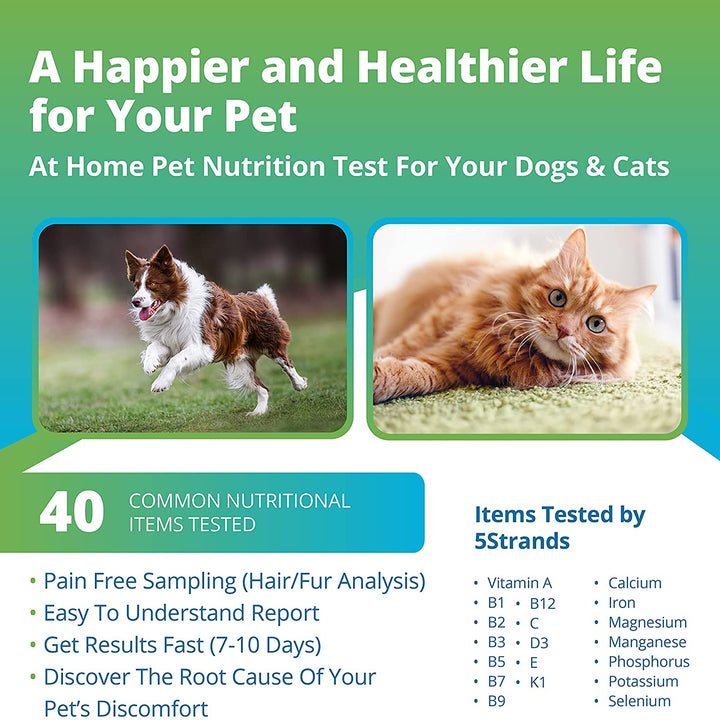 Pet Nutrition (Vitamins & Minerals) Imbalance Test (Previous Hair Sample Required)