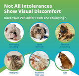 Pet Food Intolerance Test (Previous Hair Sample Required)
