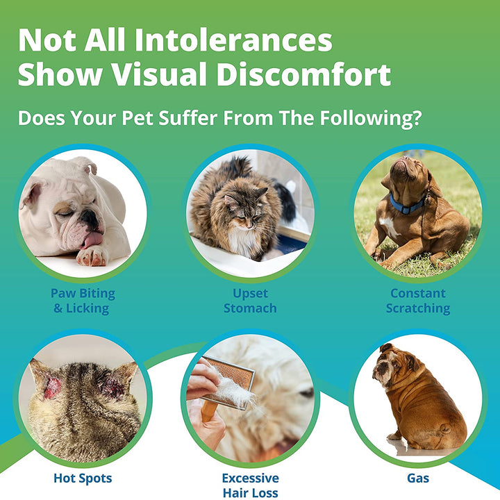 Pet Food Intolerance Test (Previous Hair Sample Required)
