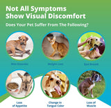 Pet Nutrition (Vitamins & Minerals) Imbalance Test (Previous Hair Sample Required)