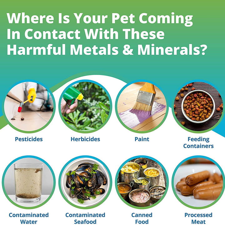 Pet Heavy Metals & Minerals Imbalance Test (Previous Hair Sample Required)