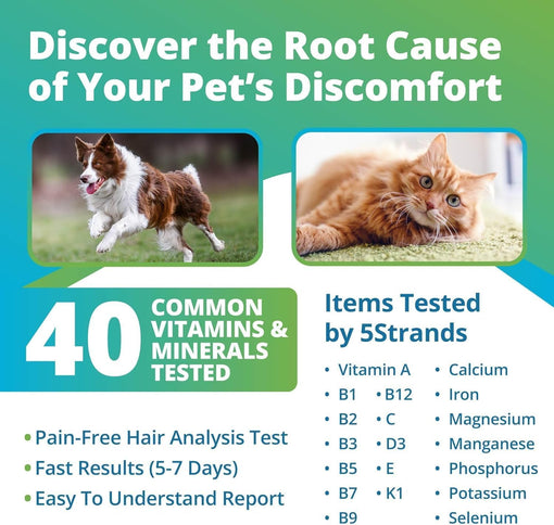 Pet Vitamins & Minerals Imbalance Test