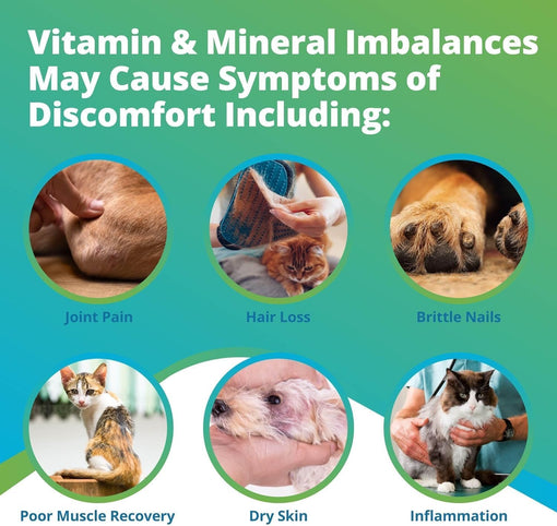 Pet Vitamins & Minerals Imbalance Test