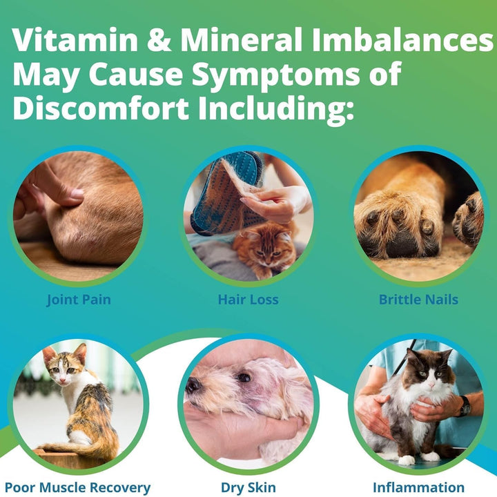 Pet Vitamins & Minerals Imbalance Test