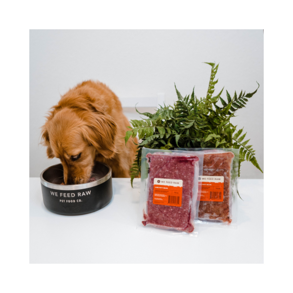 Pet Environmental Intolerance Test
