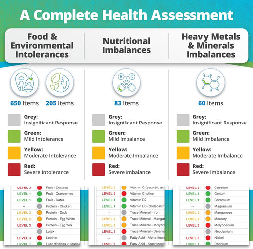 comprehensive intolerances and imbalances items and results