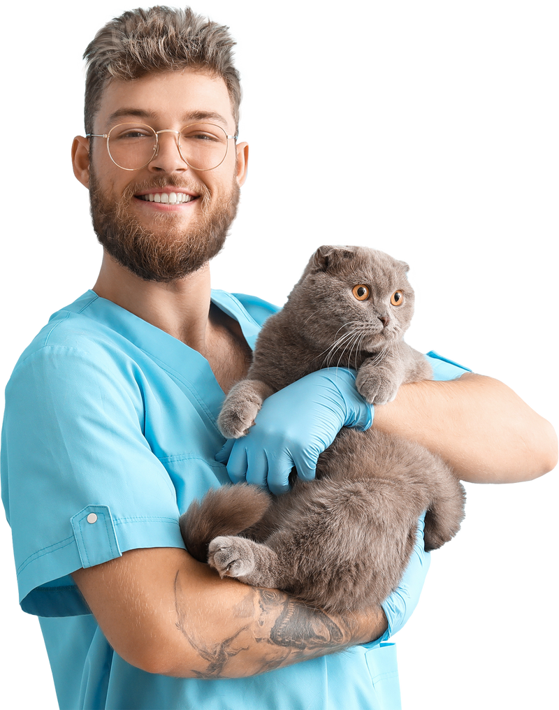 5Strands Health Tests For Adults, Children, Dogs, Cats, & Horses