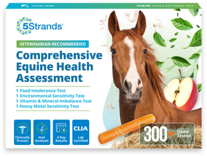 Comprehensive Equine Intolerance & Imbalance Test
