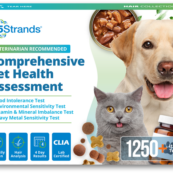 Comprehensive Pet Health Assessment