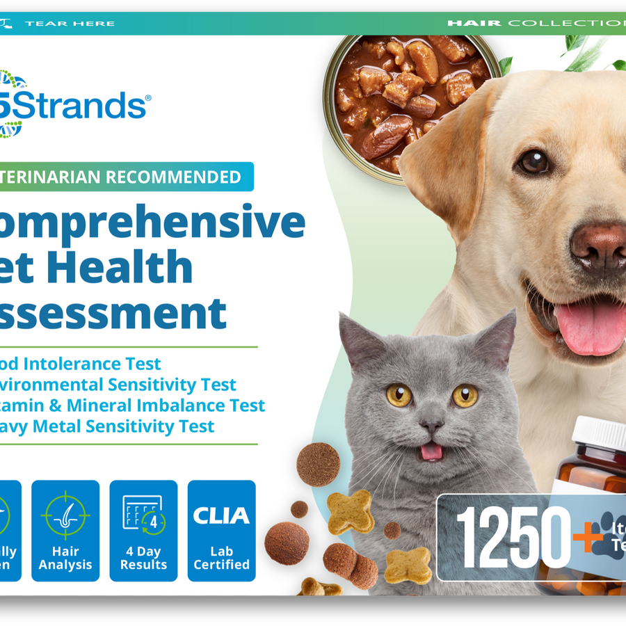 Comprehensive Pet Health Assessment
