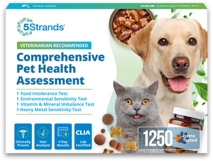 Comprehensive Pet Health Assessment