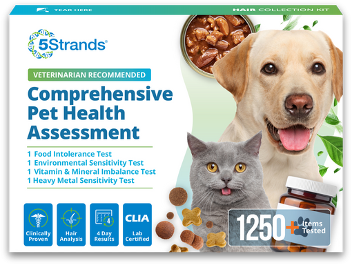 Comprehensive Pet Health Assessment