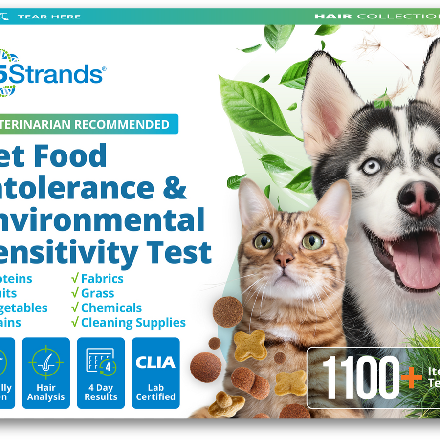 Pet Food Intolerance & Environmental Sensitivity Test