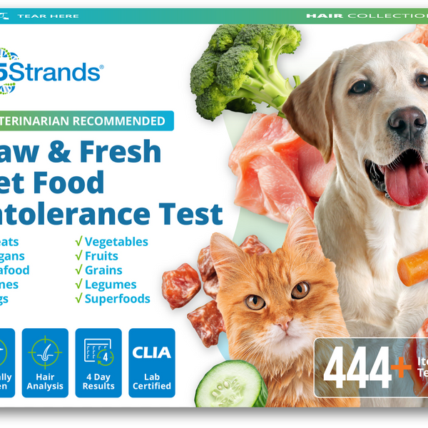 Raw & Fresh Pet Food Intolerance Test